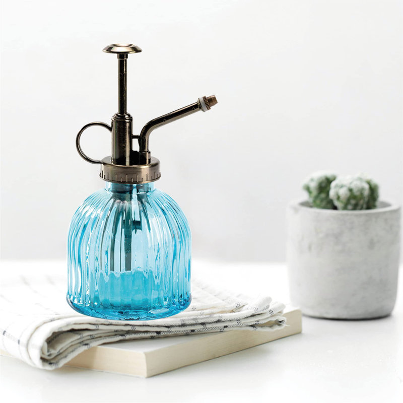 K-Cliffs Glass Plant Mister & Reviews | Wayfair